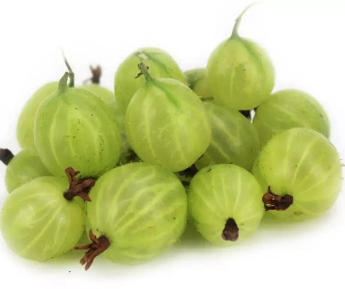 Agrest ekologiczny polski (0,25 kg) (EKO)