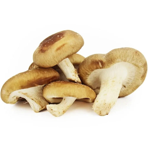 Shiitake grzyby świeże ekologiczne (ok. 0,2 kg) (EKO)