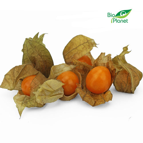 Miechunka świeża (ok. 0,1 kg) (EKO)